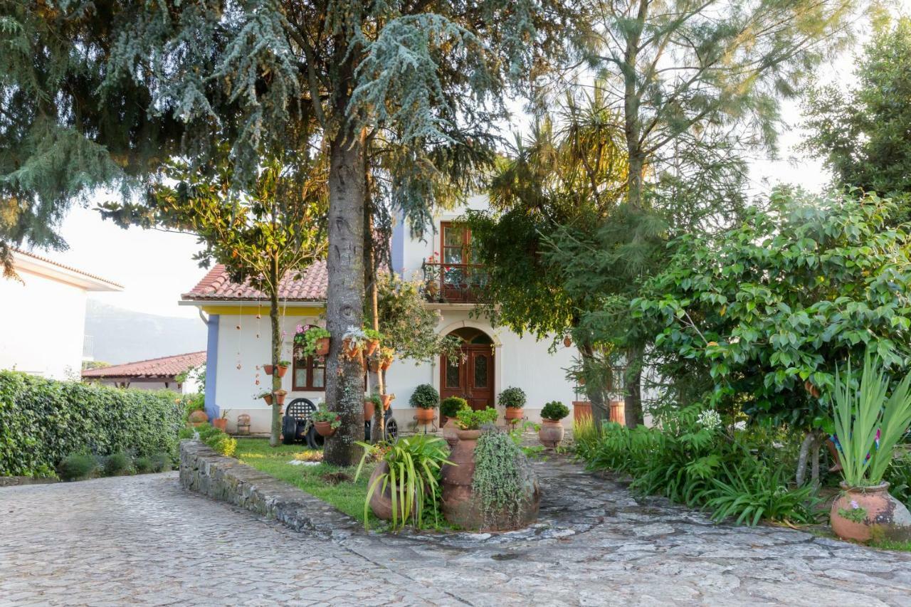 Casal Dos 5 Hotel Minde Bagian luar foto